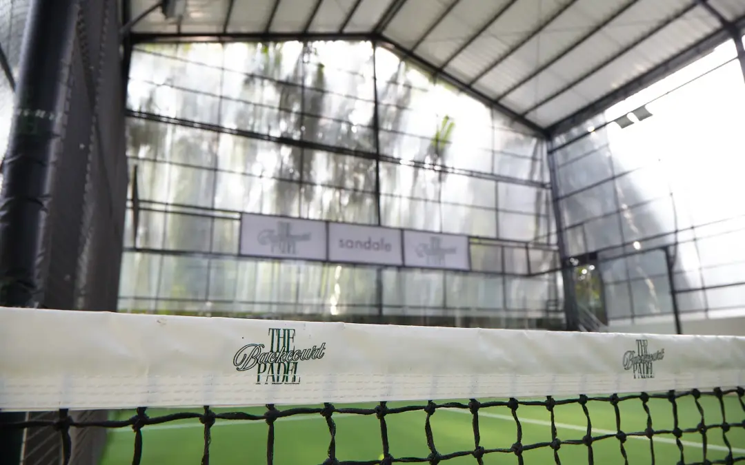 The court through the net
